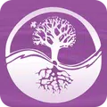 Heal & Transform