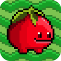 Tomato World