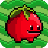 Tomato World icon