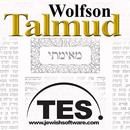 Wolfson Talmud APK