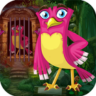 Kavi Escape Game 537 Rosy Bird icône