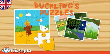 Duckling's Puzzles