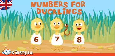 Numbers For Ducklings