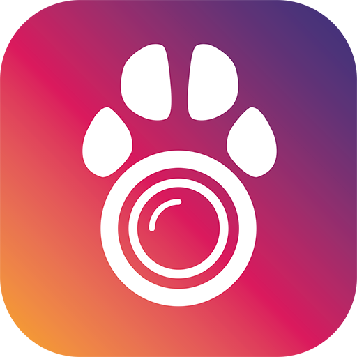 PetCam App - Monitor de Perro