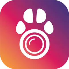 PetCam App - Dog Camera App