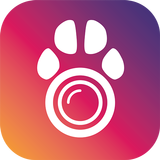 PetCam App - Pet Câmera App