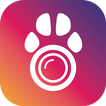 ”PetCam App - Dog Camera App