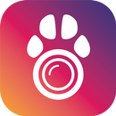APK PetCam App - Dog Camera App