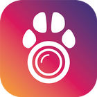 PetCam آئیکن