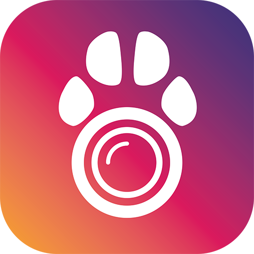 PetCam - Hundemonitor App