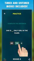 Articles Grammar Test Screenshot 2