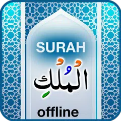 download Surah Mulk with Audio APK
