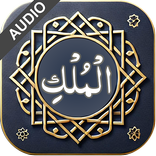 Surah Mulk with Audio