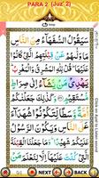Color Coded Para 2 with Audio screenshot 2
