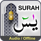 Surah Yaseen with Audio icône