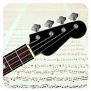 Bass Sheet Reading APK