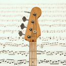 Bass Guitar Notes PRO APK