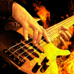 ”Bass Grooves