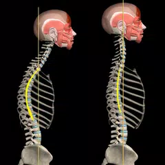 Kyphosis & Rounded Back by M&M XAPK download