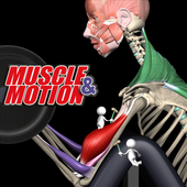 Strength by Muscle and Motion icône