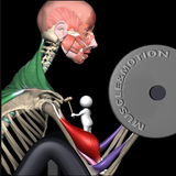 Strength by Muscle and Motion Zeichen