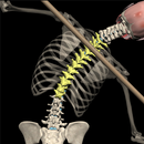 Posture by M&M APK