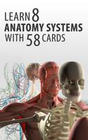 Cartes Anatomie Flash Affiche