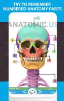 Cartes Anatomie Flash capture d'écran 1
