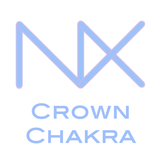 NeuroX 冠脉轮 图标