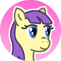 My Pocket Pony
