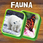 Mahjong Fauna ícone
