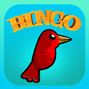 APK Video Bingo Ubatuba