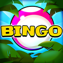 APK Video Bingo Itacare