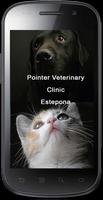 Pointer Veterinary Clinic Estepona poster