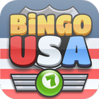 Bingo USA icône