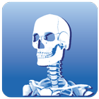 Prowise Skeleton 3D-icoon