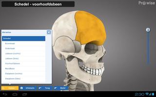 Prowise Skeleton 3D স্ক্রিনশট 1