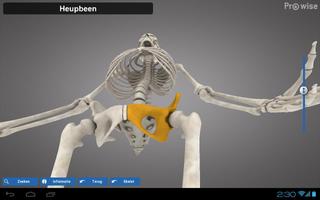 Prowise Skeleton 3D تصوير الشاشة 2