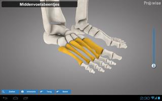 Prowise Skeleton 3D capture d'écran 3