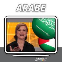 Parler Arabe (n) Affiche
