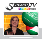 Arabe – en Vidéo ! (c) icône