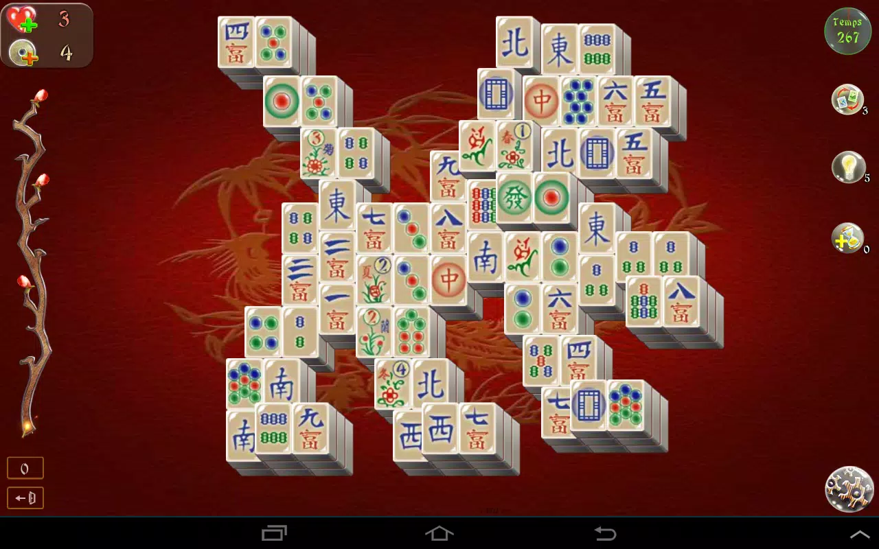 Microsoft Mahjong – Sujet 