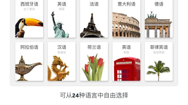 Rosetta Stone 海报