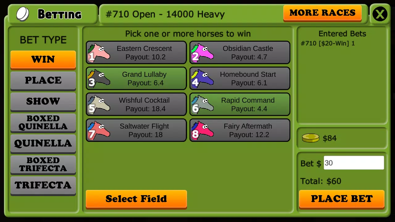 Hooves of Fire – Horse Racing