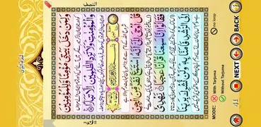 PARA 29 with Urdu Tarjuma