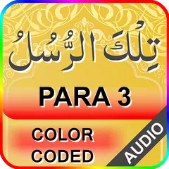 Baixar Color coded Para 3 with Audio XAPK