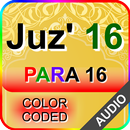 Color coded Para 16 with Audio-APK