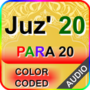 Color coded Para 20 with Audio APK