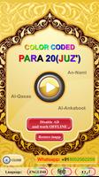 Color coded Para 20 with Audio Affiche
