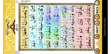 Color coded Para 6 with Audio
